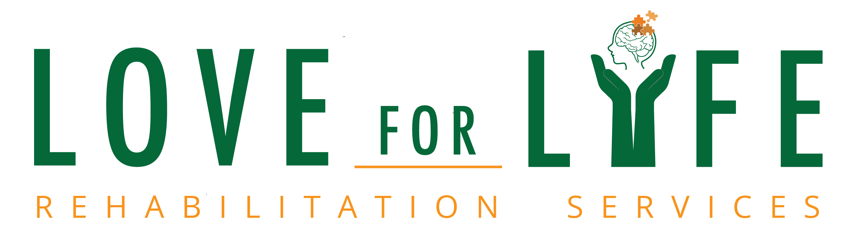 Community Impact Partner